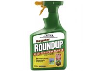 RoundUp Regular
